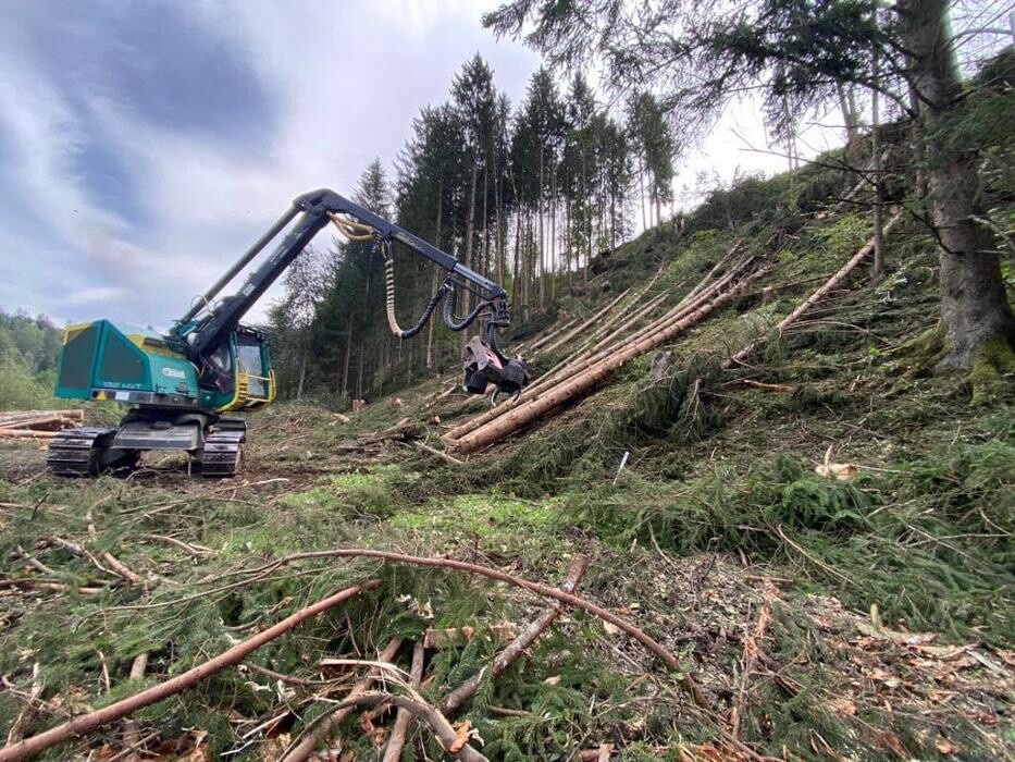 Bilder Nussbaumer Forstdienstleistungen