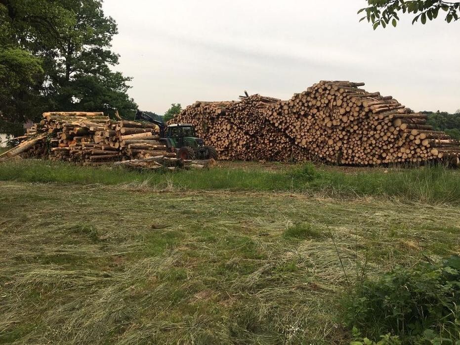 Bilder Nussbaumer Forstdienstleistungen