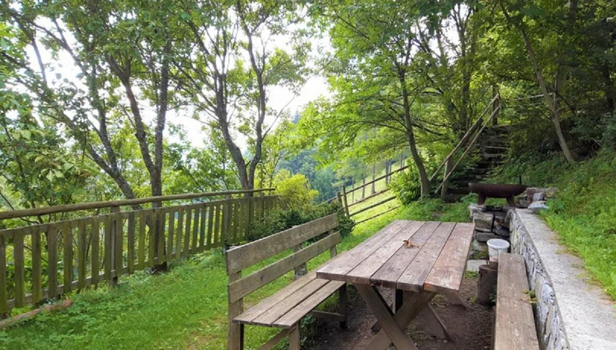 Bilder Fuchsbichlhütte - Almhütte in der Steiermark