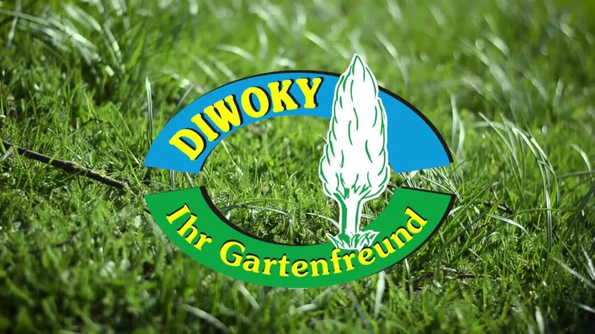 Bilder Diwoky GmbH
