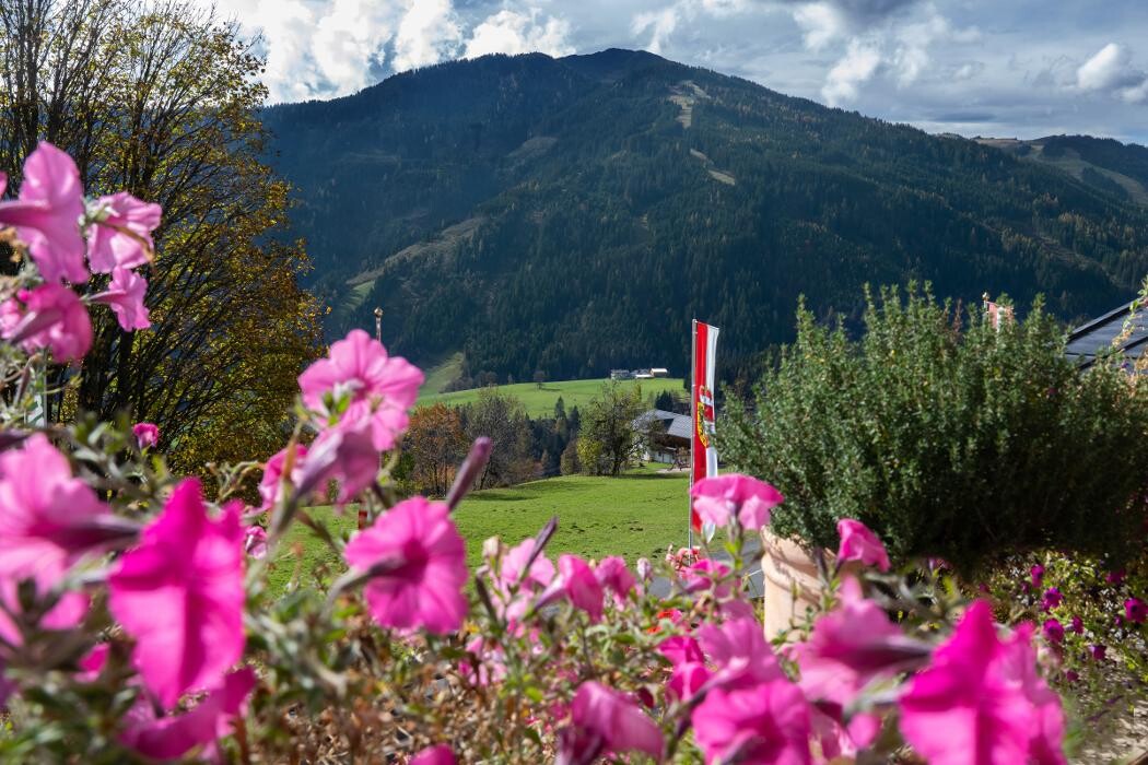 Bilder Hotel Sonnhof Hochkönig