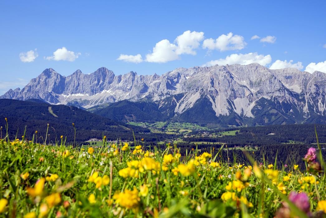 Bilder Aparthotel Ramsau