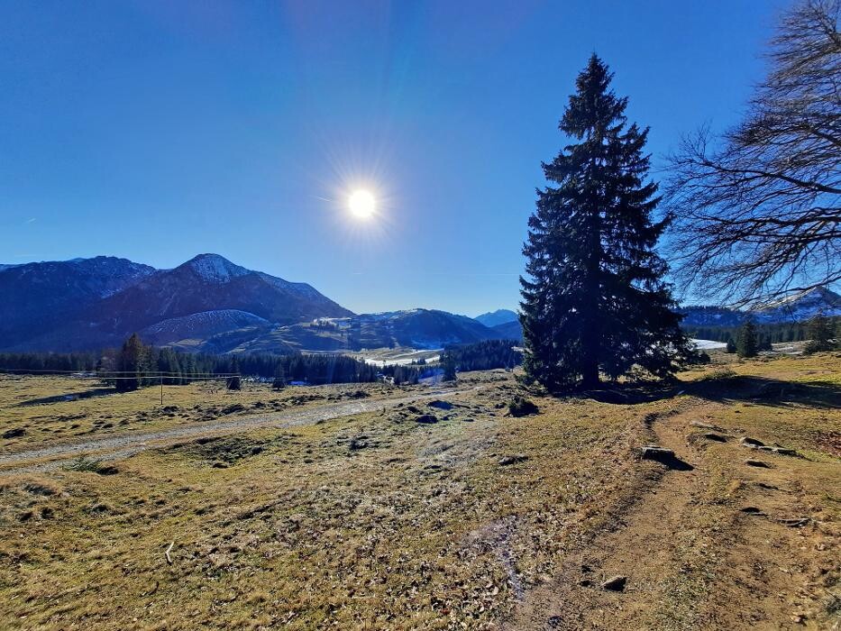 Bilder Apartmenthaus Moosgut - Peter Pranieß
