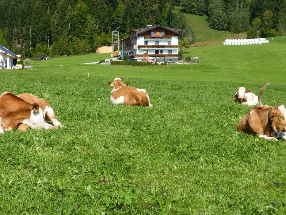 Bilder Apartmenthaus Moosgut - Peter Pranieß