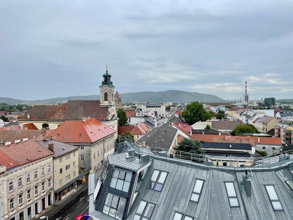 Bilder PMP Immobilien