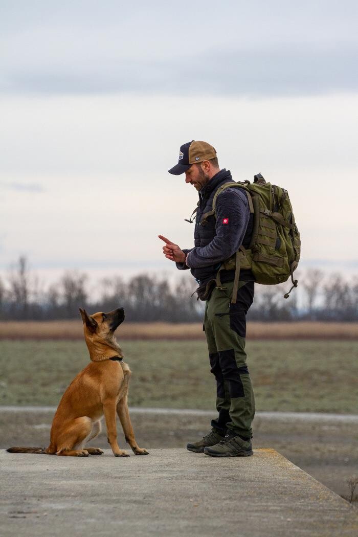 Bilder Hundekompetenzzentrum MexxDogs