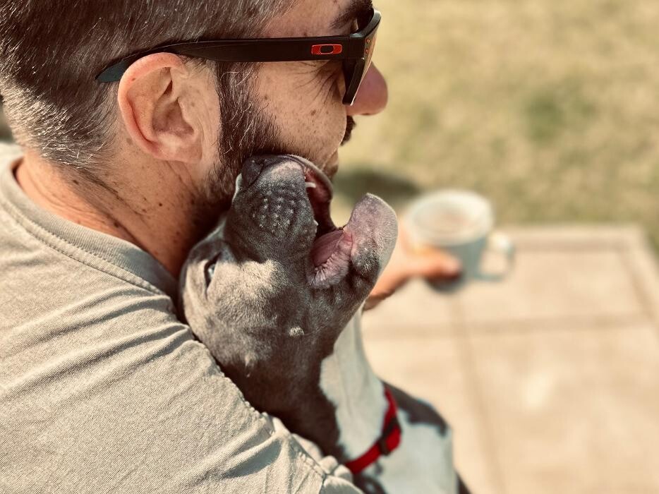 Bilder Hundekompetenzzentrum MexxDogs