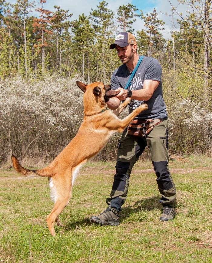 Bilder Hundekompetenzzentrum MexxDogs