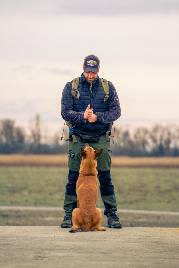 Bilder Hundekompetenzzentrum MexxDogs