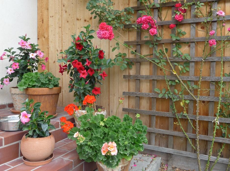 Bilder Appartement Romana