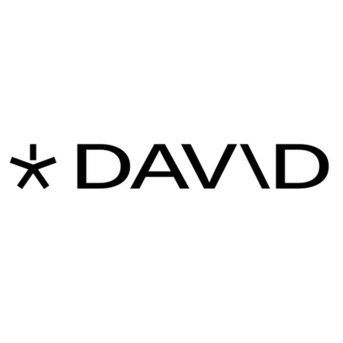 DAV\D Personal Coaching - Fitness Club Logo