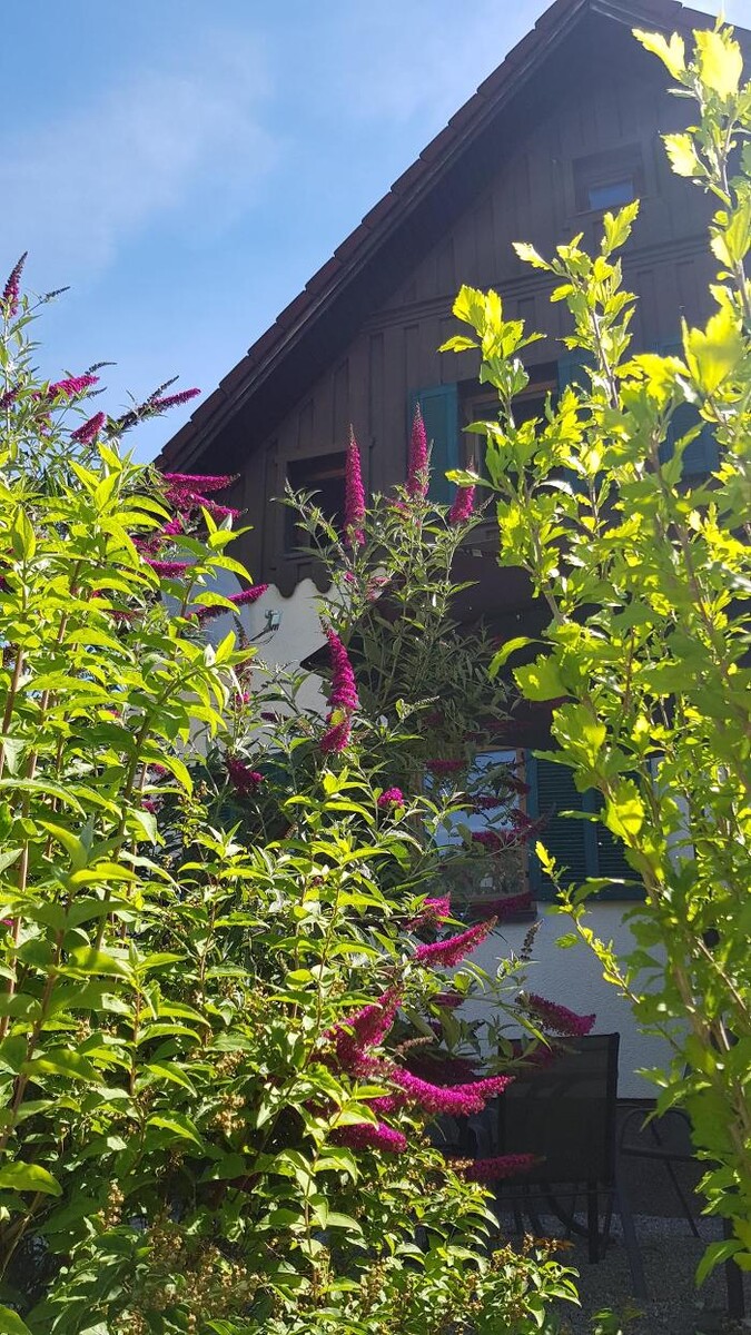 Bilder CHILL & SLEEP Apartments Bad Ischl