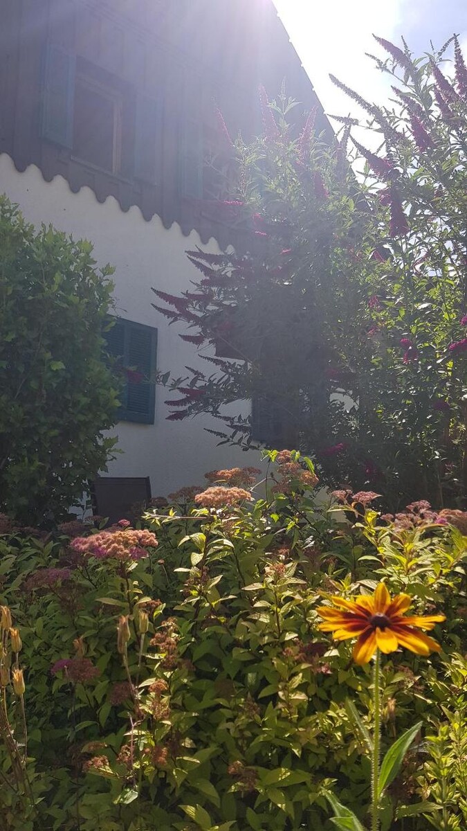 Bilder CHILL & SLEEP Apartments Bad Ischl