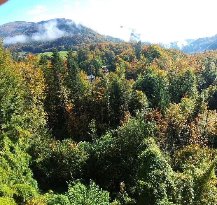 Bilder CHILL & SLEEP Apartments Bad Ischl