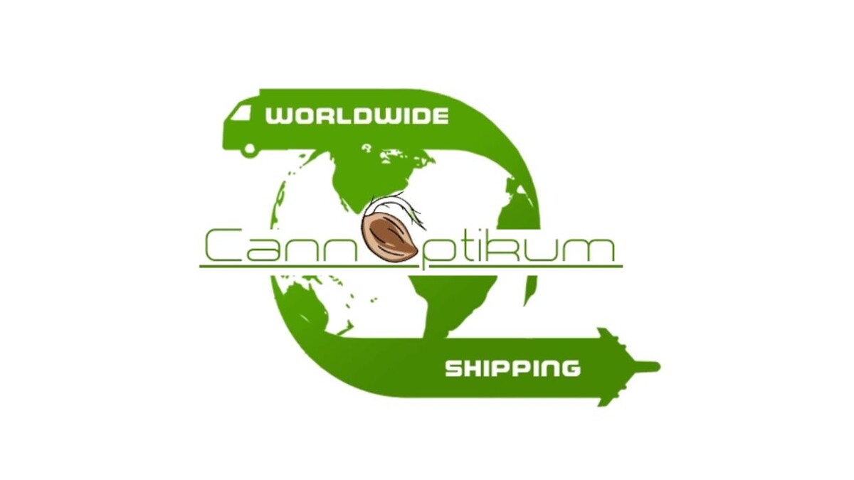 Bilder Cannoptikum KG