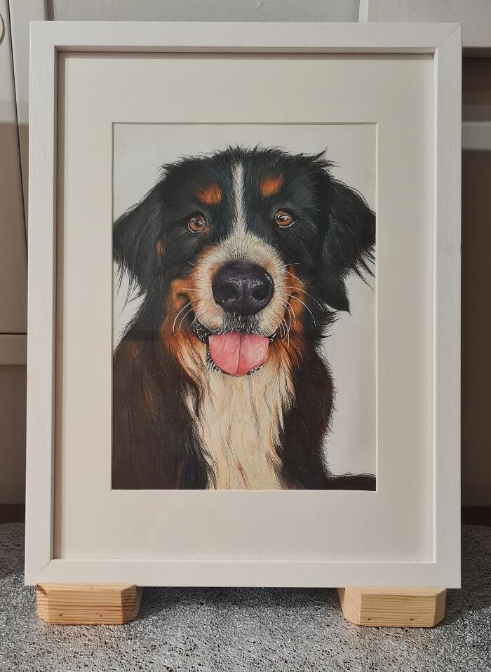 Bilder BDpainting