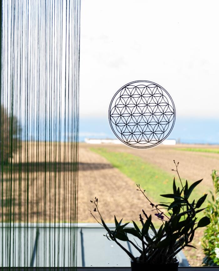 Bilder Patricia Straka Health Tuning