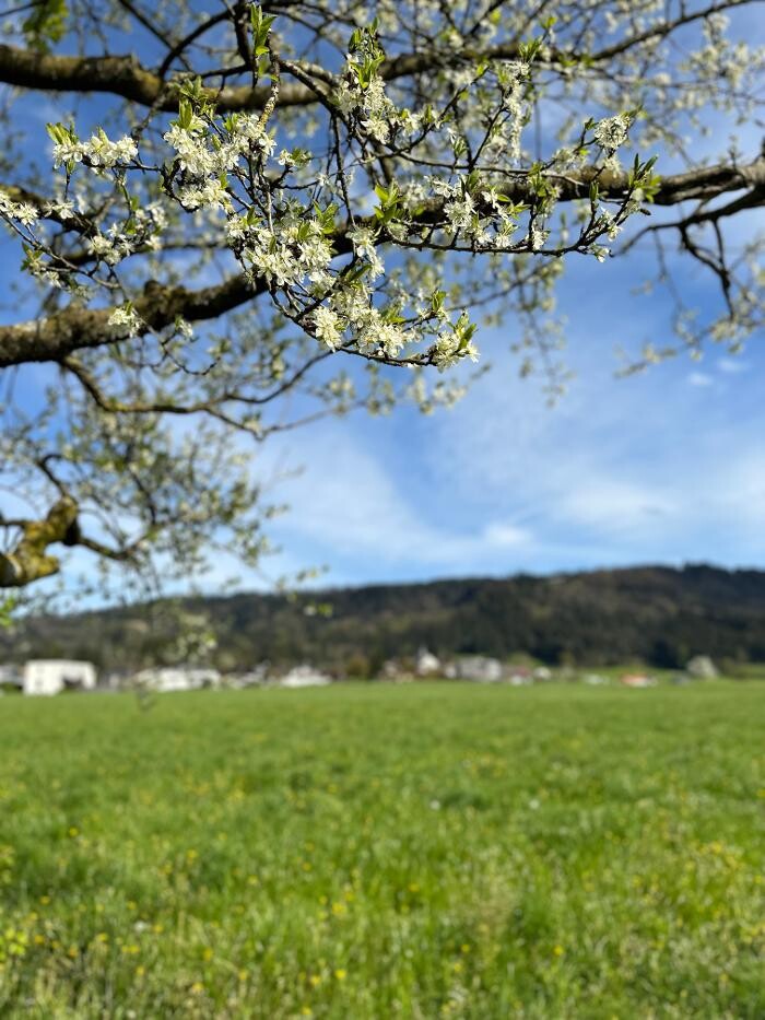 Bilder Gasthof Auszeit im Bad Diezlings