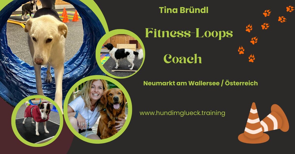 Bilder Hund im Glück Tina Bründl