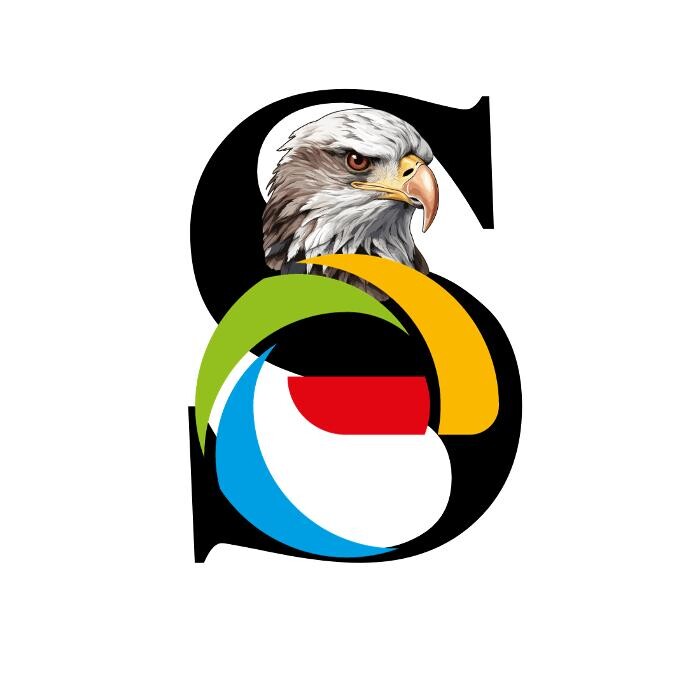 Shakti Elements Lebensenergie Logo