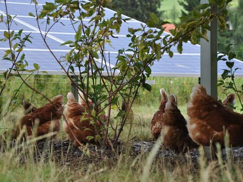 Bilder Clean Power Community eGen