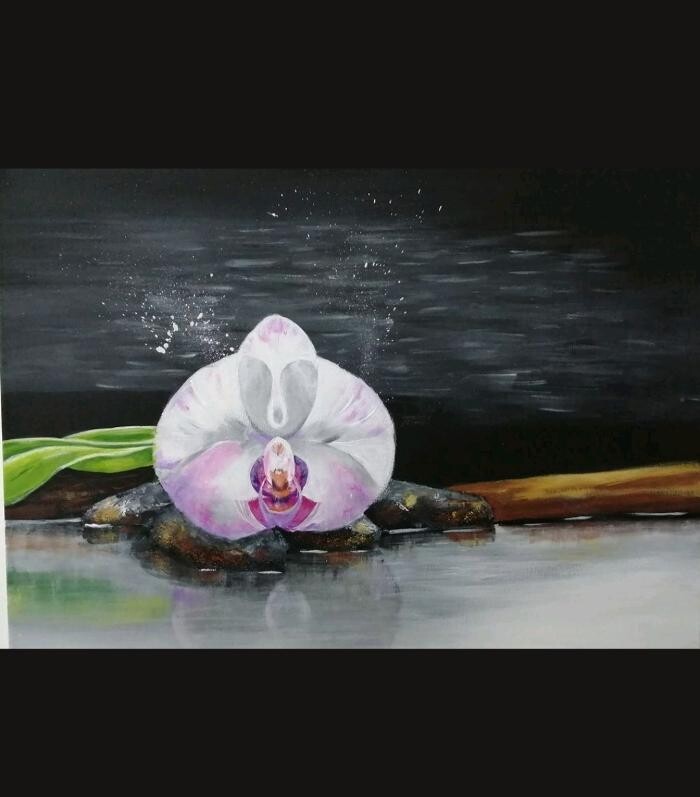 Bilder Kunst Atelier Elisabeth Suter