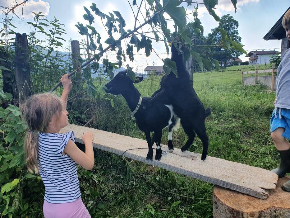 Bilder Ferienwohnungen Stadlhof - Going am Wilden Kaiser