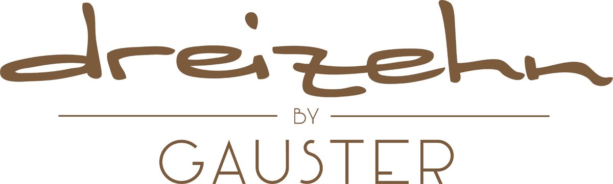 dreizehn by Gauster Logo