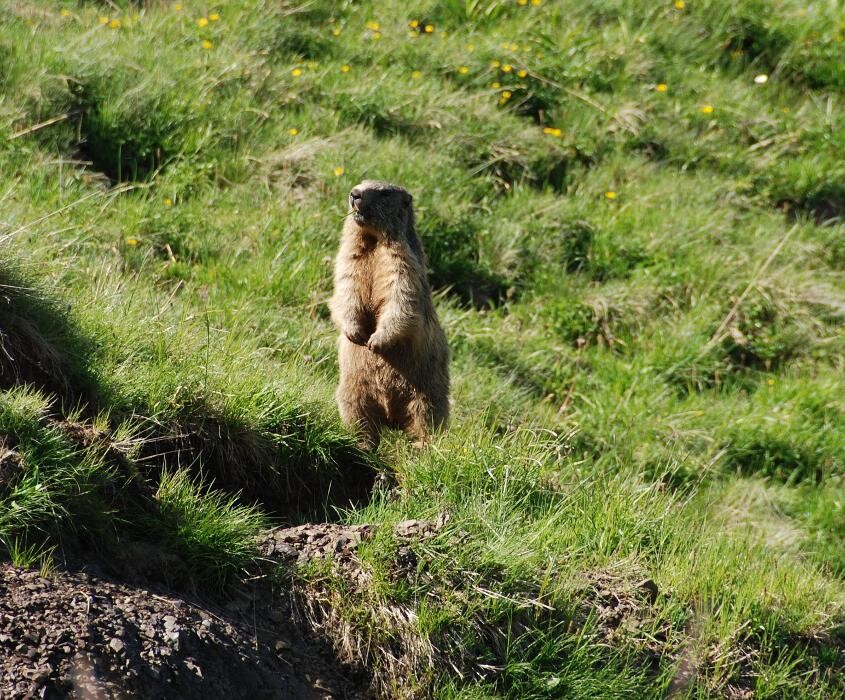 Bilder Haus Moosbrugger