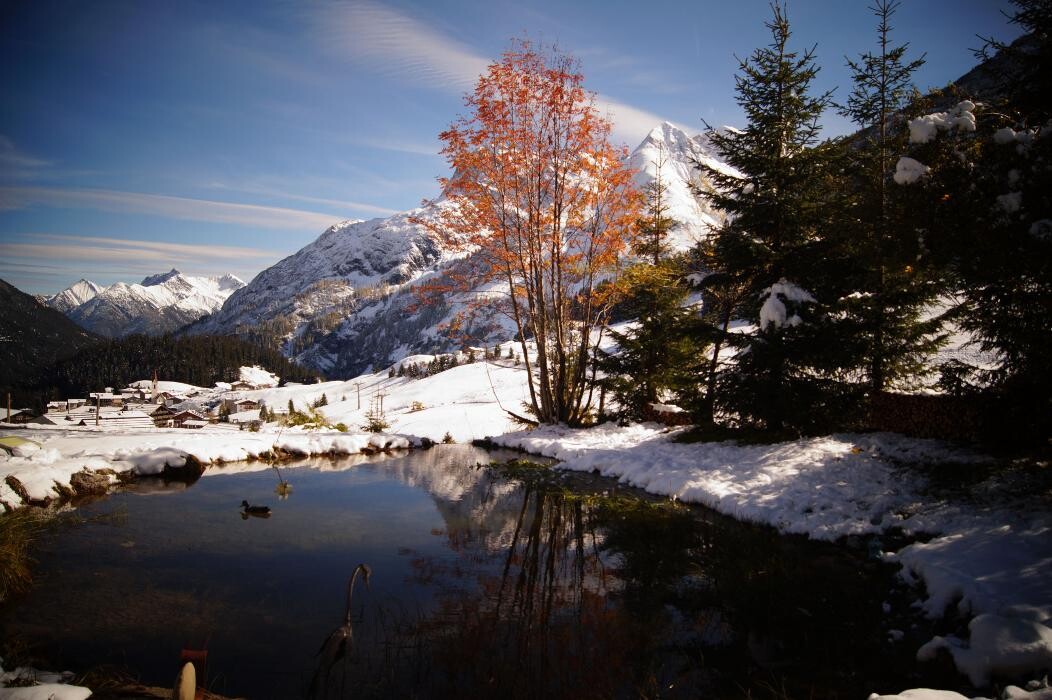 Bilder Haus Moosbrugger