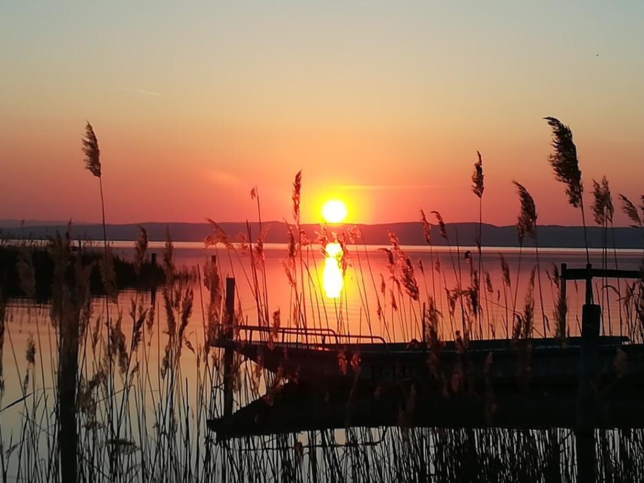 Bilder Ninas MANDALAHOF Neusiedlersee
