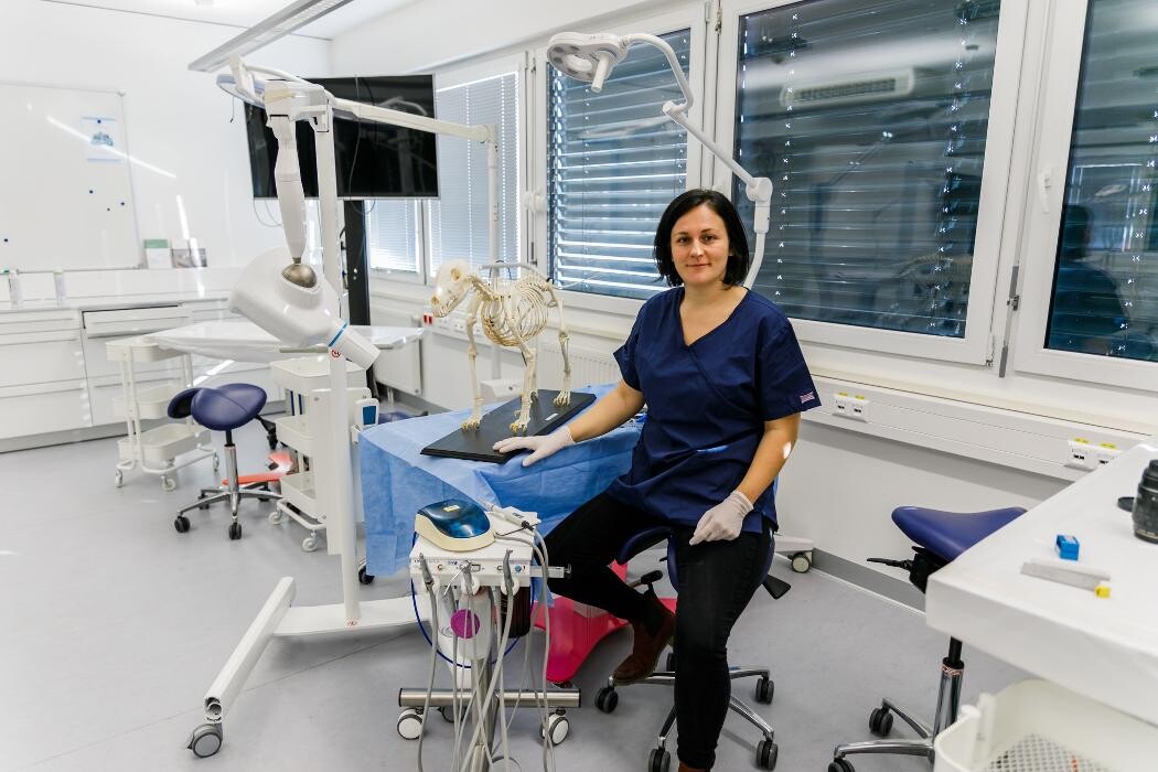 Bilder Zahntierärztin - Mag.med.vet. Christina Winter