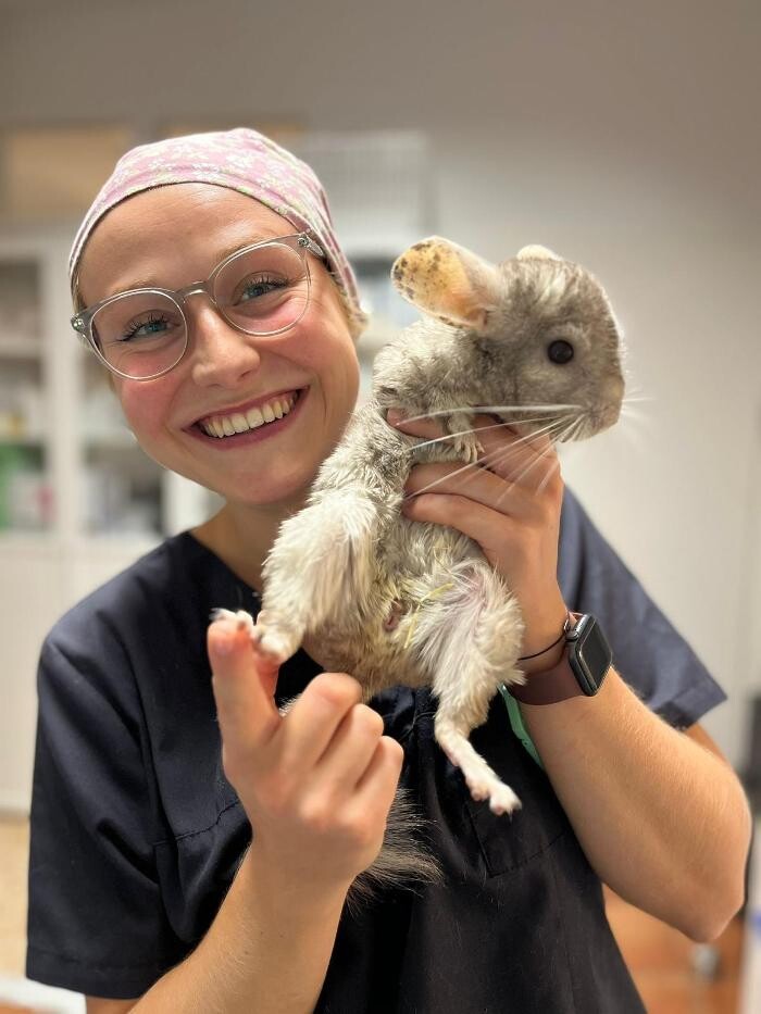 Bilder Zahntierärztin - Mag.med.vet. Christina Winter