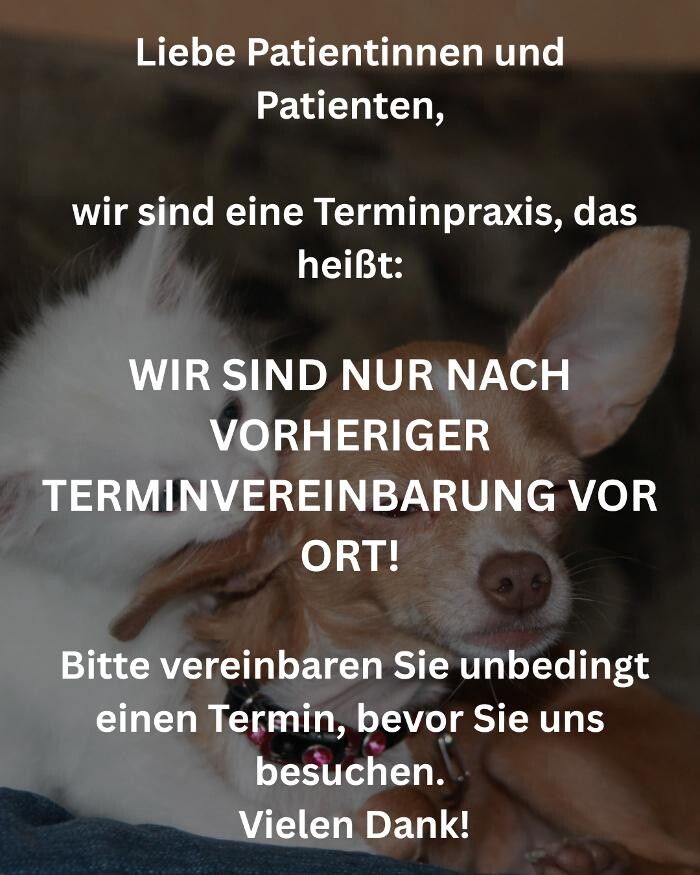 Bilder Zahntierärztin - Mag.med.vet. Christina Winter