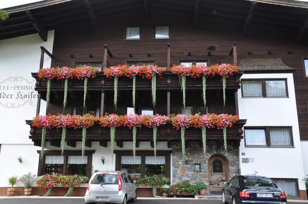 Bilder Pension Wilder Kaiser - Kirchdorf in Tirol