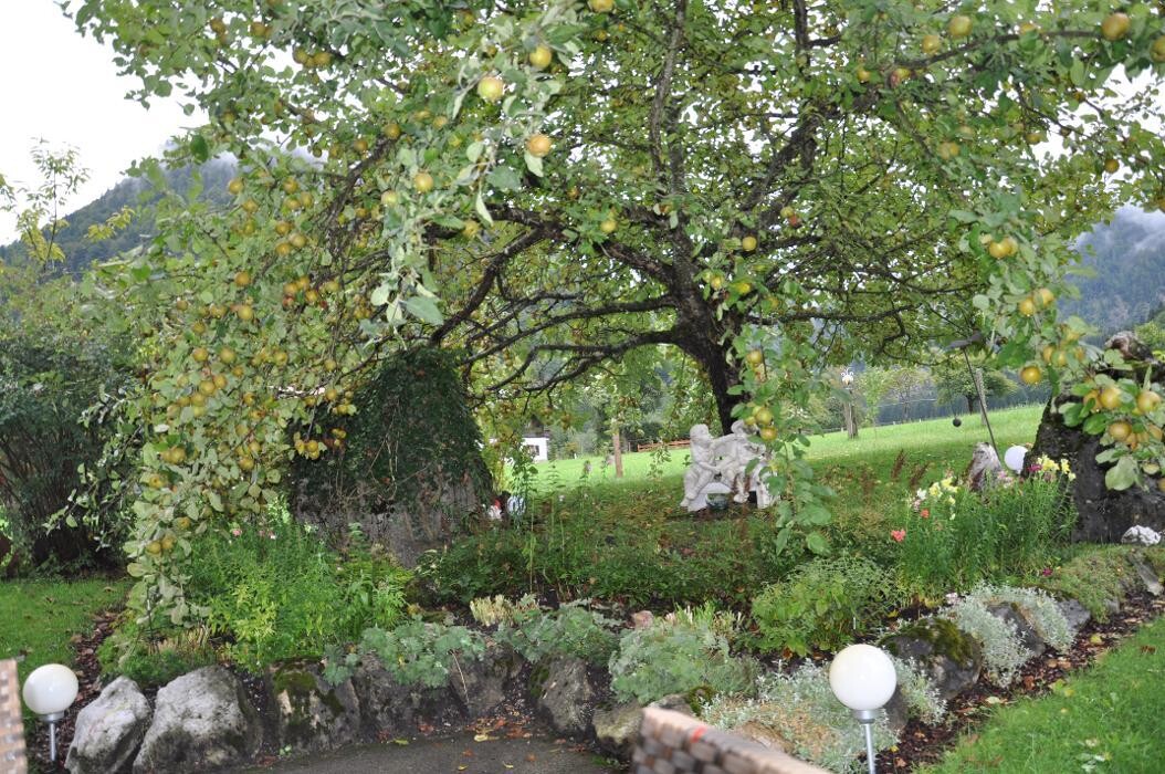 Bilder Pension Wilder Kaiser - Kirchdorf in Tirol