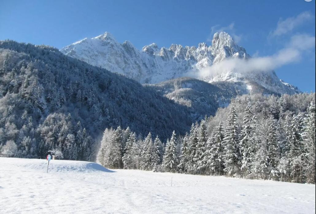 Bilder Pension Wilder Kaiser - Kirchdorf in Tirol