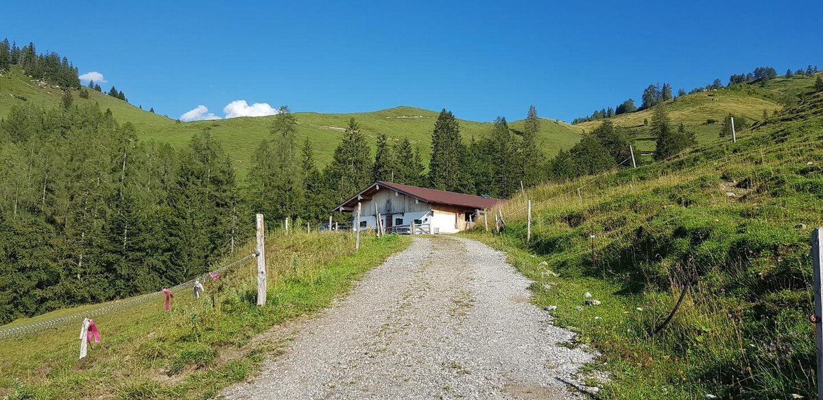 Bilder Bichlbauer - Barbara & Ägidius Zaß