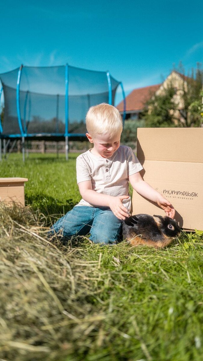Bilder Mümmelbox