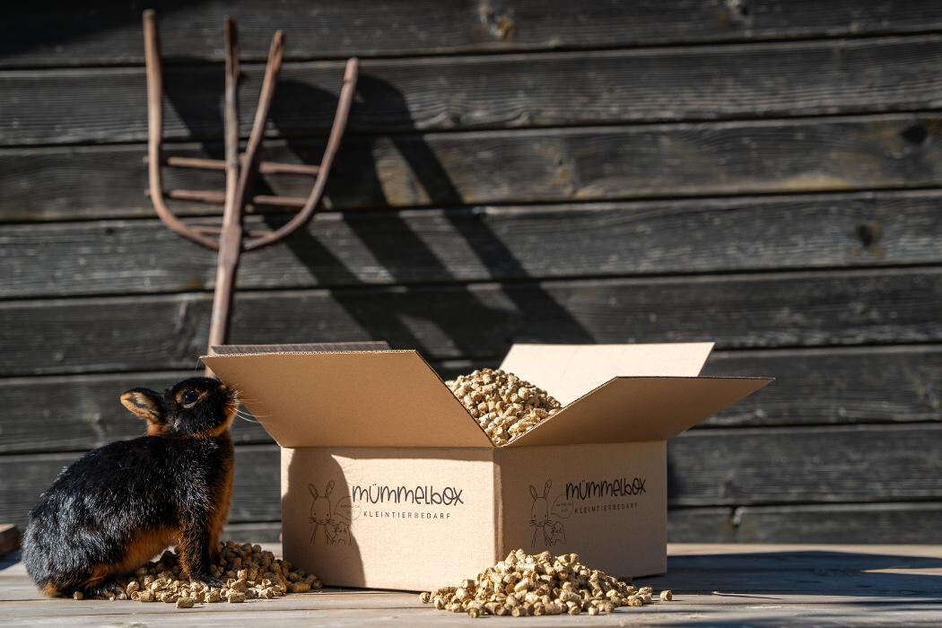 Bilder Mümmelbox