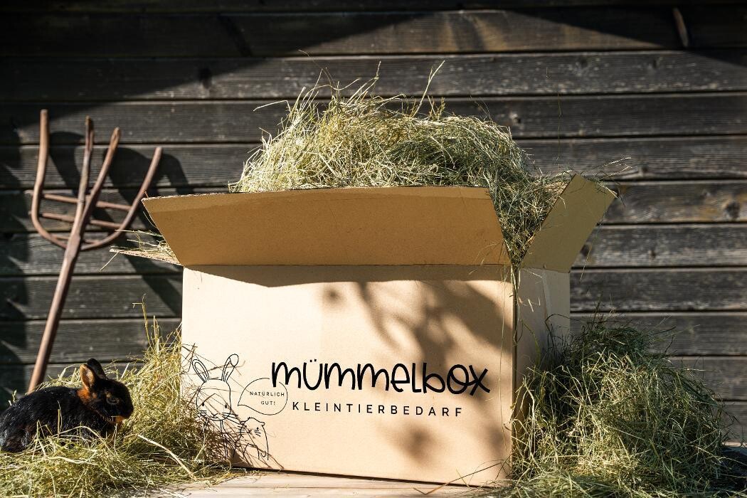 Bilder Mümmelbox