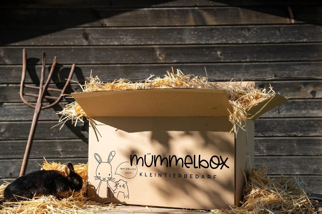 Bilder Mümmelbox