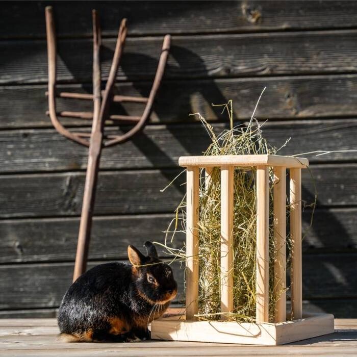 Bilder Mümmelbox