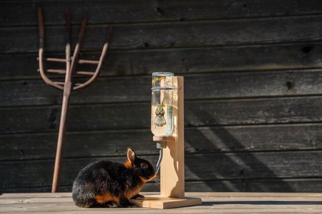 Bilder Mümmelbox