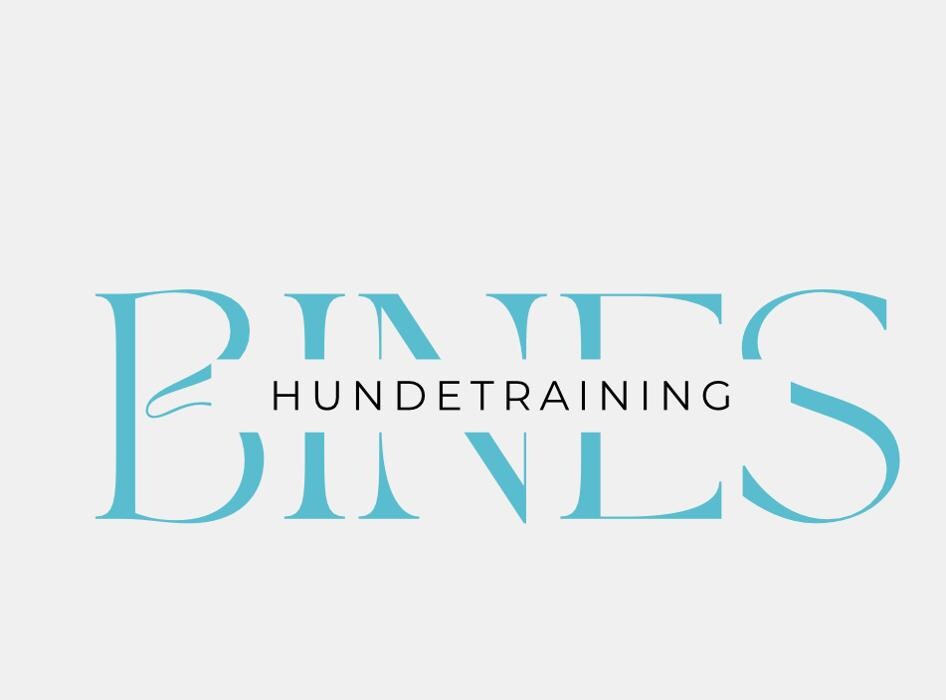 Bilder Bines Hundetraining