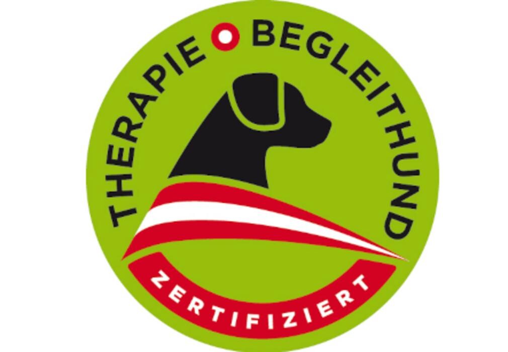 Bilder Bines Hundetraining