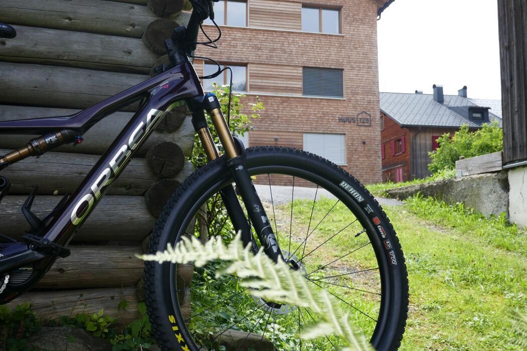 Bilder Sport Fuchs