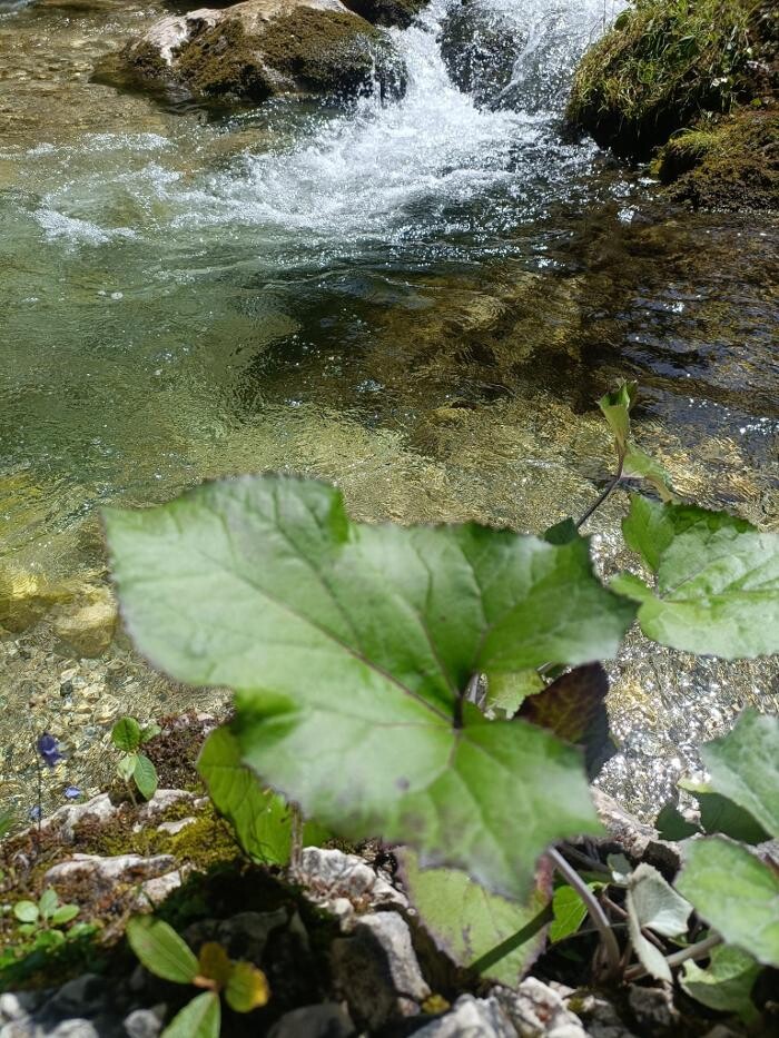 Bilder Christine Fritz | Wörterfee - Life- & Naturcoach, Beratung, Mentaltraining