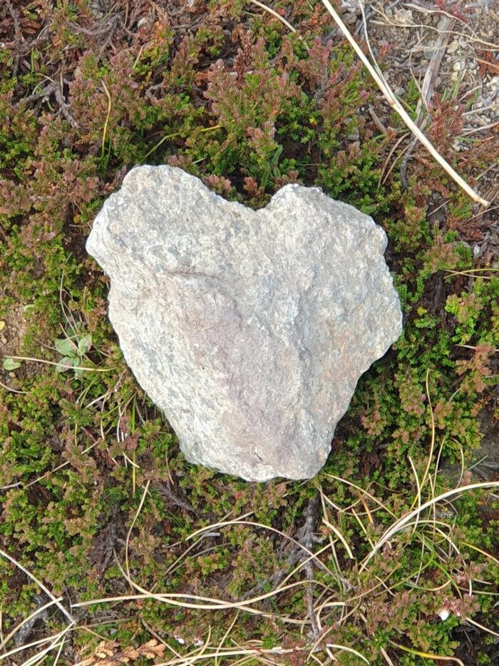 Bilder Christine Fritz | Wörterfee - Life- & Naturcoach, Beratung, Mentaltraining