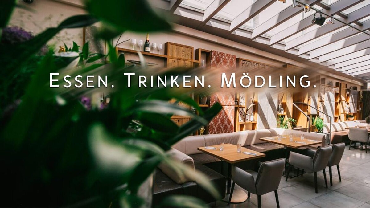 Bilder Amterl Mödling